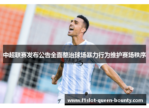 中超联赛发布公告全面整治球场暴力行为维护赛场秩序